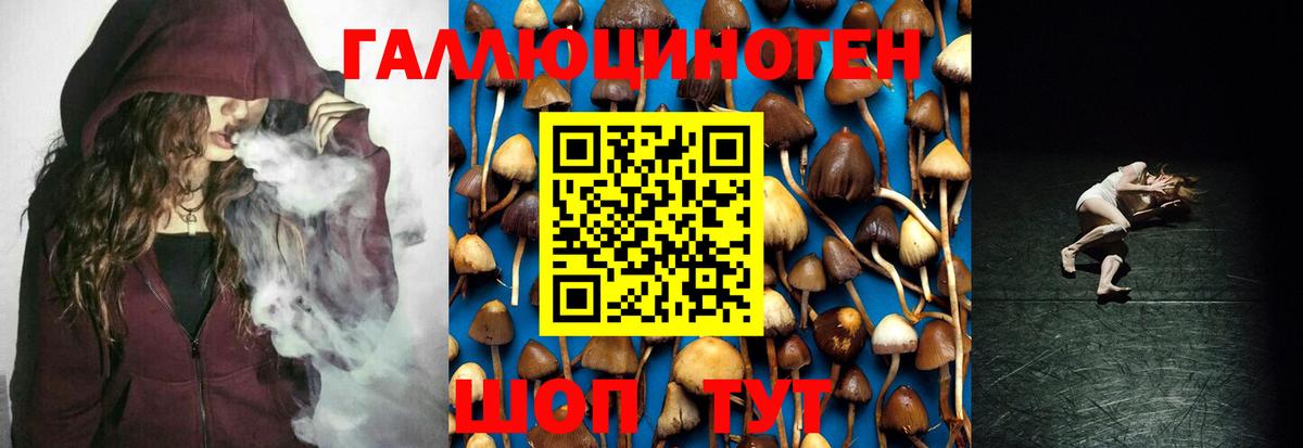 Псилоцибиновые грибы GOLDEN TEACHER  Галлюциногенные грибы Psilocybe  Вход с VPN  Малгобек 