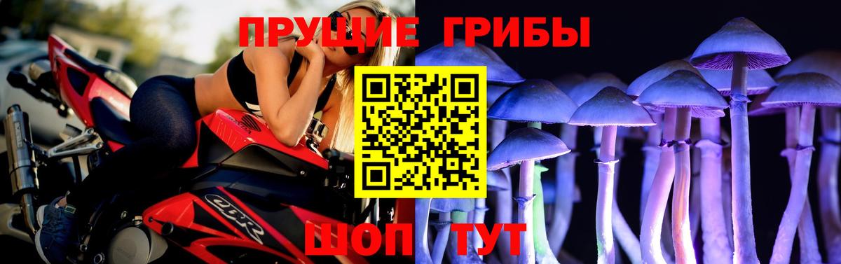 Галлюциногенные грибы MAGIC MUSHROOMS Малгобек